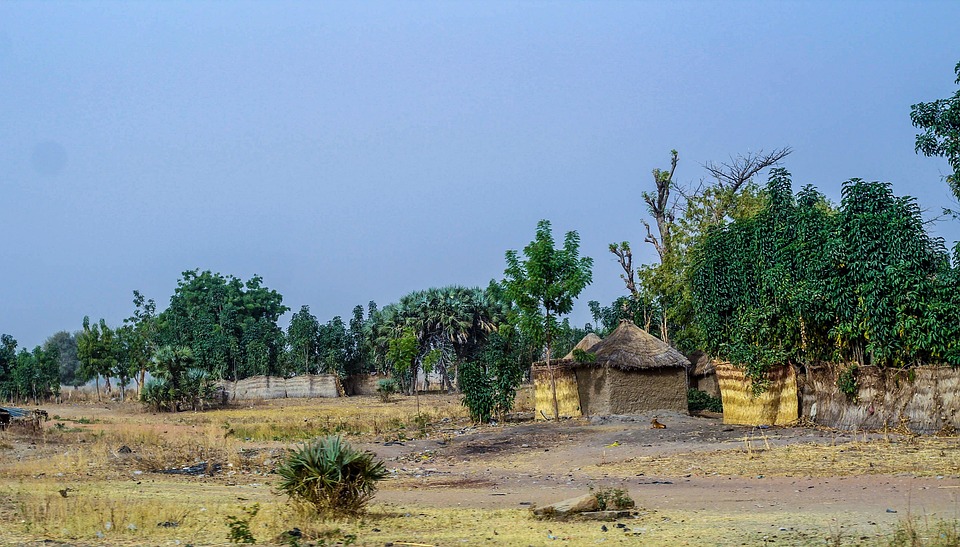 Village house near the park